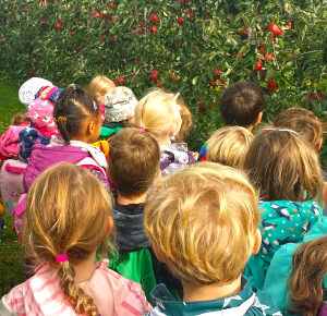 Vorschulkinder in der Apfelplantage