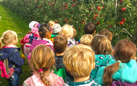 Vorschulkinder in der Apfelplantage