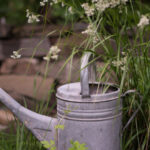 2021_garten-8888