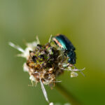 Naturfotos-1714