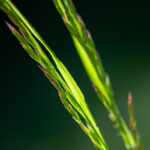 Naturfotos-1723