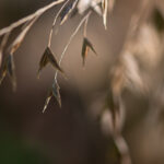 Naturfotos-1726